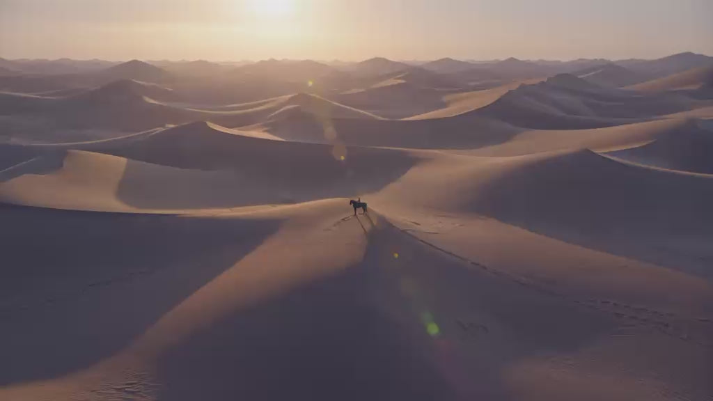 Charger la vidéo : 